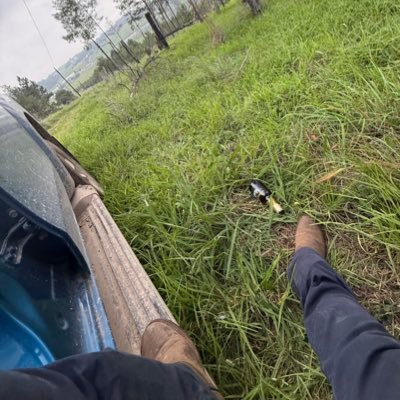 bpa_29's profile picture. 