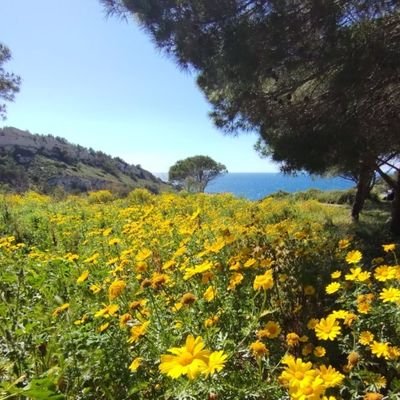 Vegé 🍄🥕🍎 @Motchus🧄 🐢 LFI Anti-Corrida. https://t.co/hSCgY8pX3D