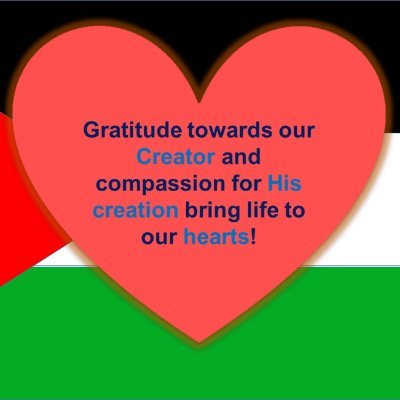 Maryam012984228's profile picture. Peace and security for all!