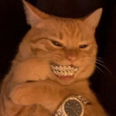 TheMonstersFun's profile picture. 