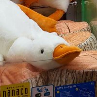 ひだり⬅️ (@lookingptr96565) 's Twitter Profile
