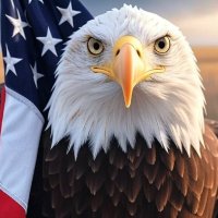 MAGAInsights (@magainsights) 's Twitter Profile