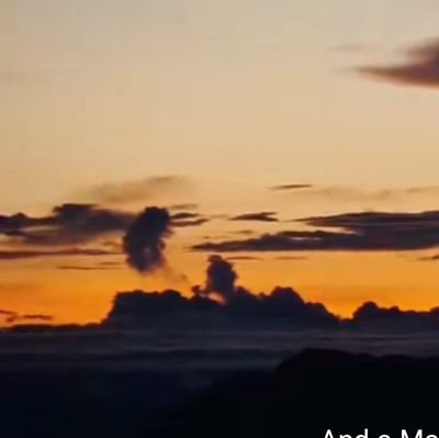 pained_12's profile picture. 