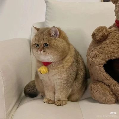 นวดผ่อนคลาย รับช่วยคู่แท้ รับนวดทั้งผู้หญิง ผู้ชาย
#นวดกระบี่ #นวดนอกสถานที่ #นวดในเมืองกระบี่ แอดไลน์ Tanya-999
