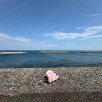 pepe@ヤドンと一緒 (@piyopepe555) 's Twitter Profile