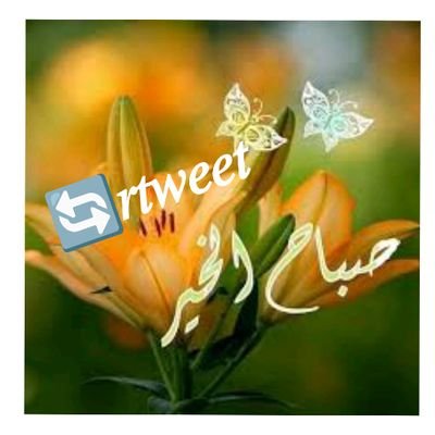 للاضافه لقروبات #الصفوه_للدعم
تحت اداراه @50SS_1
حياكم 🤍🤍
