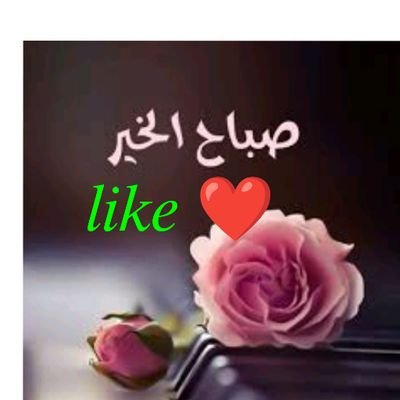 الانضمام لقروبات #الصفوه_للدعم
تحت اداراه @50SS_1
حياكم🤍🤍