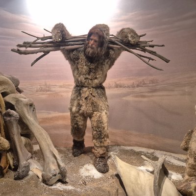 Foxglove2026's profile picture. Keeping up with the nudge unit.