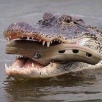 croc with croc (@croc_with_croc) 's Twitter Profile Photo croc with croc (@croc_with_croc) 's Twitter Profile Photo