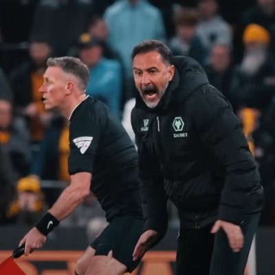 thatderekchui's profile picture. personal log for football data analytics & wolves