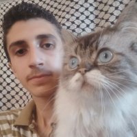 Ali From Gaza (@alialjbour29) 's Twitter Profile Photo Ali From Gaza (@alialjbour29) 's Twitter Profile Photo