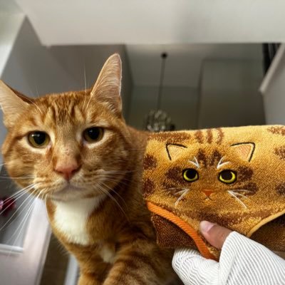 Malu_Garciaa's profile picture. lana stand and a bit of taylor