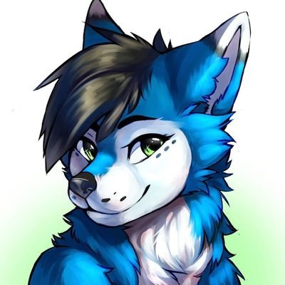 tora_wall's profile picture. Furry fanatic 🐾💖 | Fandom adventures 🌟