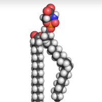 (Z)-Ethene-1,2-diol (@treyleparx) 's Twitter Profile