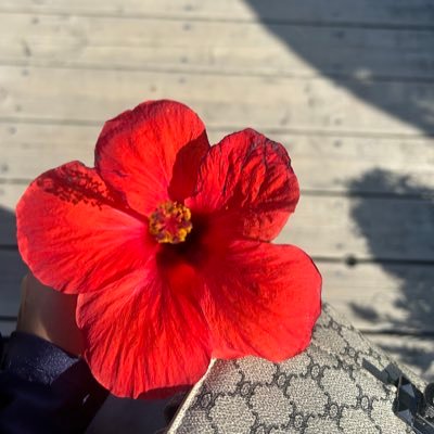 ℳ’ Profile