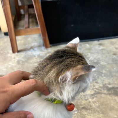 HanzTheOne4's profile picture. Live better not bitter