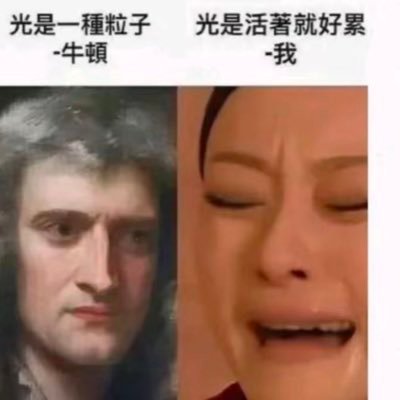 tanqianlin36773's profile picture. 