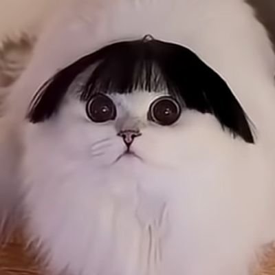 amrit_nikam_'s profile picture. 