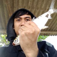 Ardi Azhari (@ardiazhari) 's Twitter Profile