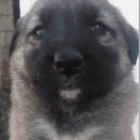 asdfg (@enes_kaan1995) 's Twitter Profile Photo asdfg (@enes_kaan1995) 's Twitter Profile Photo