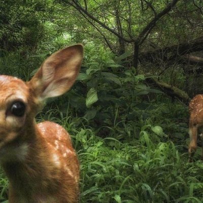 EnakxxD's profile picture. 