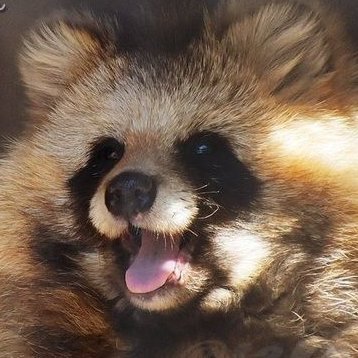 BasicKoffeecake's profile picture. You may recognize me on other apps - I use different names often 👀