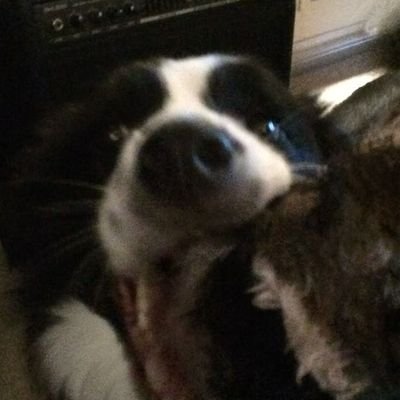 AcabateLi's profile picture. ☆ ele/dele ☆⠀⠀⠀⠀⠀
🎨 futuro artista 

⠀⠀⠀⠀ ⠀⠀⠀⠀⠀⠀⠀⠀⠀⠀⠀⠀⠀⠀⠀⠀⠀⠀⠀⠀⠀⠀⠀⠀⠀