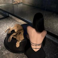 Wild Compass🧭 (@compass_wild) 's Twitter Profile