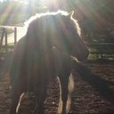 Caitlyn Edge - @ridding4life - Twitter