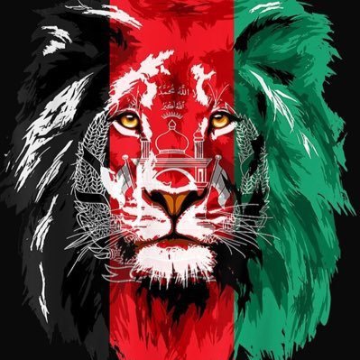 د افغانستان د طبیعي پولو ترلاسه کولو یو ټینګ مبارز ، دی لار کې د هر افغان ملګری خو د خاینانو او معامله ګرانو لپاره تندر یم