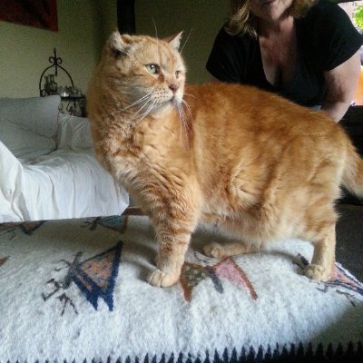 MaureenMcVey1's profile picture. 