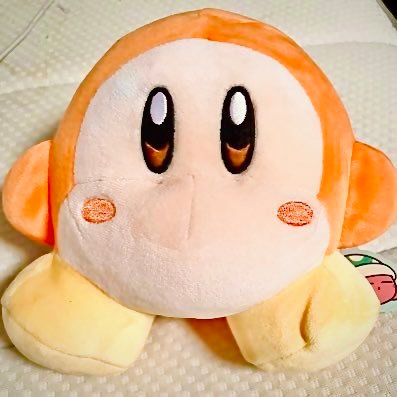 hidarihando's profile picture. 私をフォローする前にForsakenのロアを読んでください。@tmprpkpk