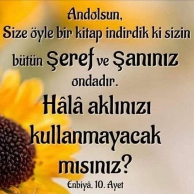 @1slamBaris