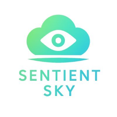 SentientSkyApp's profile picture. 🔭 Snap the sky, identify objects in real‑time 🌤️Leverage AI‑powered vision for planes, satellites, birds & anomalies. Discover what’s above with a tap.