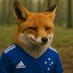 O Raposo (@diarioc1921) Twitter profile photo O Raposo (@diarioc1921) Twitter profile photo