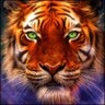 DCLMETATIGER's profile picture. Gamer, Indie Gamedev, Coder, 3D Artist, Wearable Creator, Decentraland Homie at 134,93 or metatiger.dcl.eth