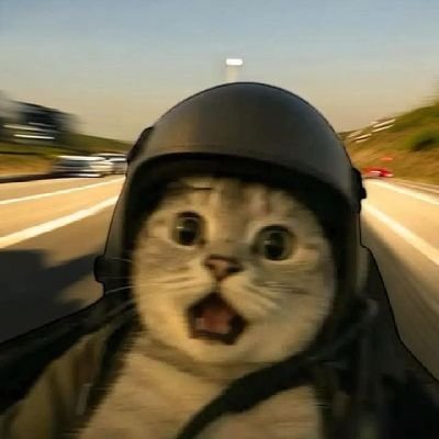 Venezuela 🇻🇪
Layouter 🛠️
Channel: https://t.co/42CFxU5Uer 🏎️
discord: osio13