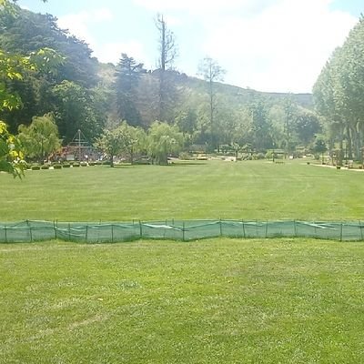 bfnfkdhdvskke's profile picture. 