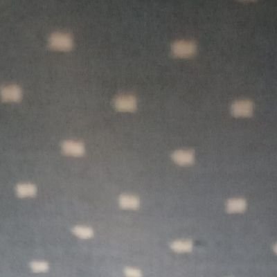 hollattl's profile picture. 
