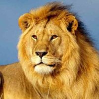 Hruno (@hrunofantasy) 's Twitter Profile