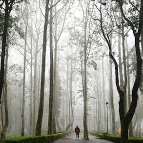 marinoamaya2010's profile picture. Hombre pasivo maduro para hombres hetero flexibles , casados , activos , divorciados y que quieran sexo sin restricciones; pero muy discretas !