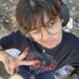 not zai (@rash6mon) Twitter profile photo not zai (@rash6mon) Twitter profile photo