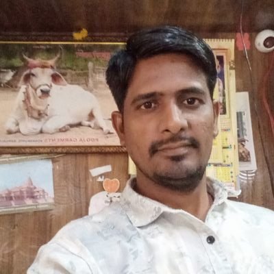 raika15367's profile picture. 