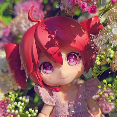 ❤️ξ( *´︶`* )ξ 🩶 Profile