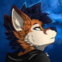 Naoki (@naoki__wolf) 's Twitter Profile