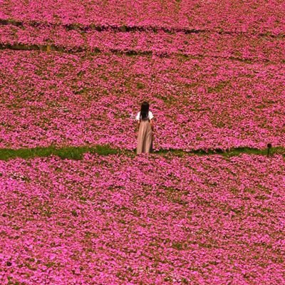 写真を撮るのが好きです🍀
お花が好きで、花言葉を使いながら
ツィートしてます
一番好きなのは、天の川🌌
RTの❤ RTはその人のホームで
引用RT❌、エロ❌ 💰配り❌
愛用機種Nikon