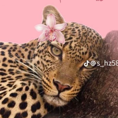 Al76055Al's profile picture. 