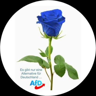 DieLeserinAfD2's profile picture. Team Alice