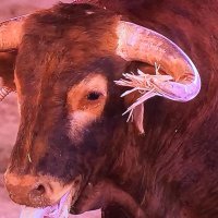 Poreltuneldeguadarrama (@poreltunelvamos) 's Twitter Profile