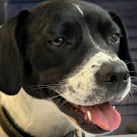 Mike (@mike1769992) 's Twitter Profile